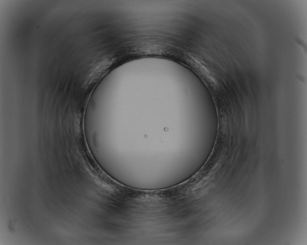 X0000093170537200709261058