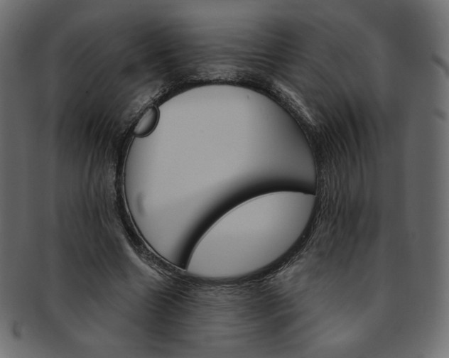 X0000093170538200709261058