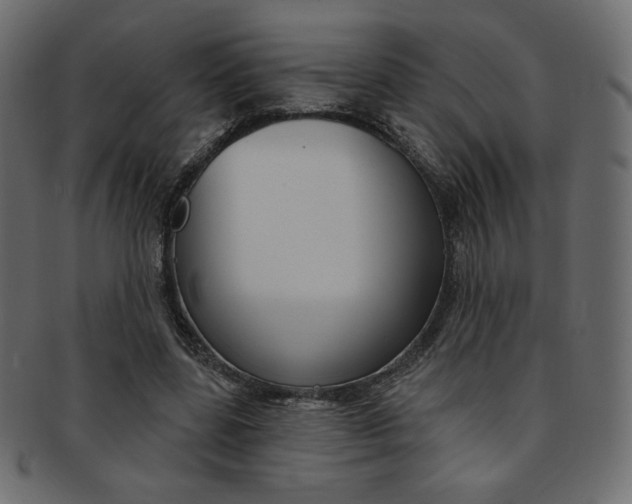 X0000093170539200709261058