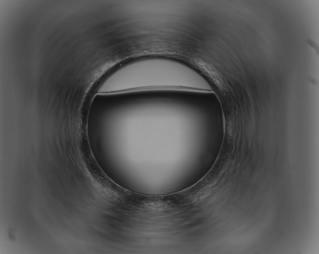 X0000093170540200709261058