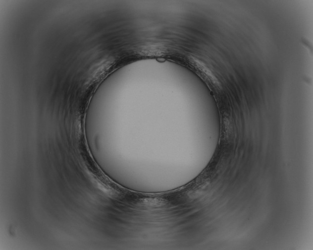 X0000093170541200709261058
