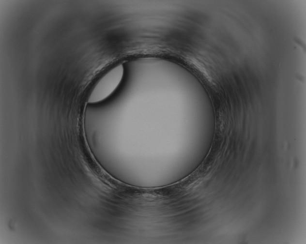 X0000093170542200709261058