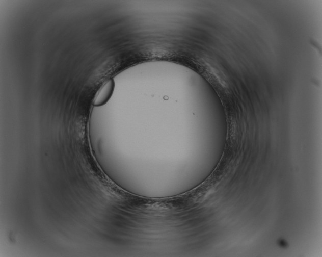 X0000093170545200709261058