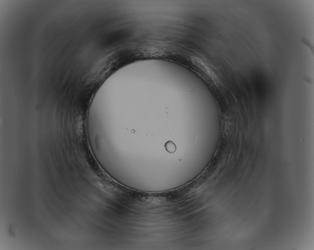 X0000093170549200709261058