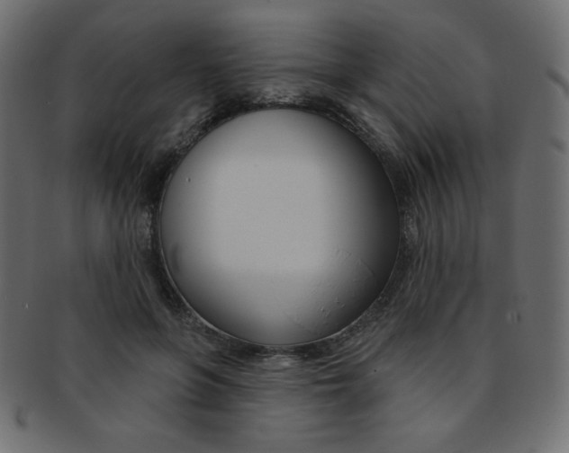 X0000093170551200709261058