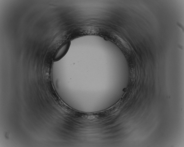 X0000093170553200709261058