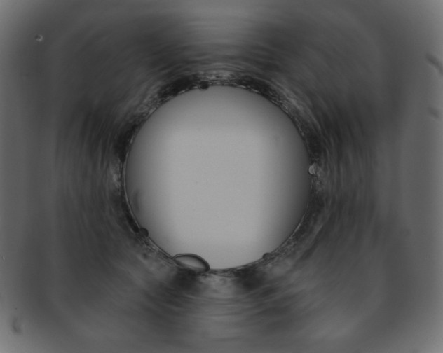 X0000093170561200709261058