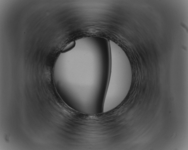 X0000093170562200709261058