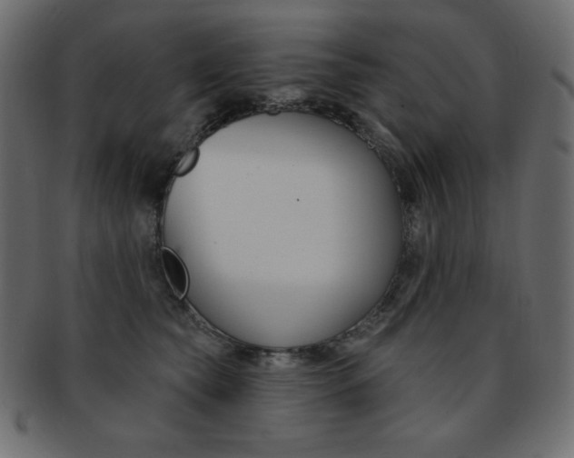 X0000093170565200709261058