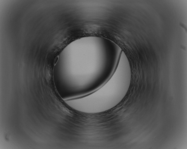 X0000093170566200709261058