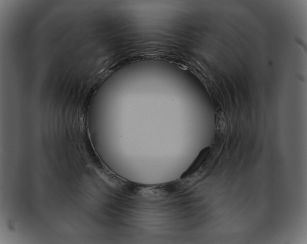 X0000093170568200709261058