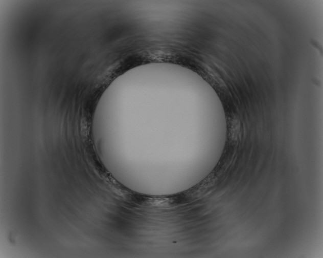X0000093170569200709261058