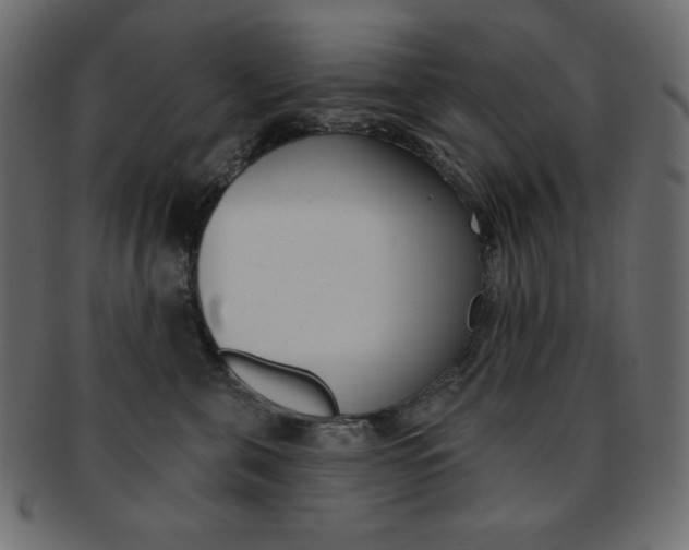 X0000093170571200709261058