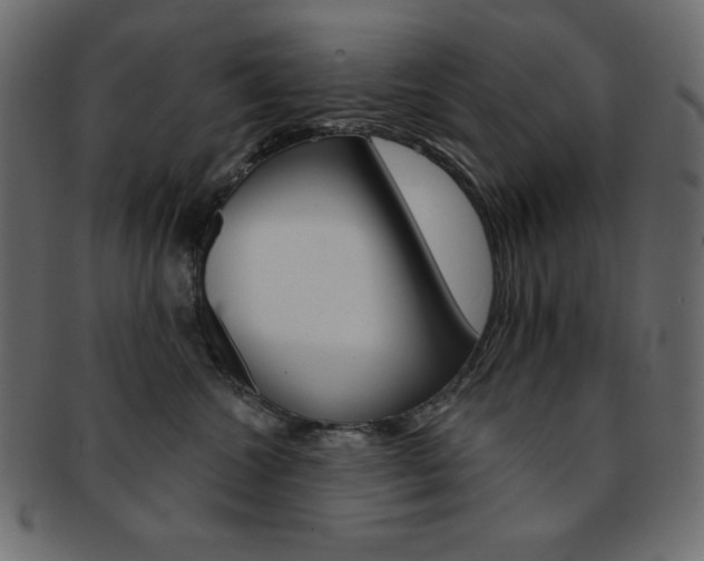 X0000093170572200709261058