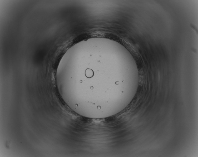 X0000093170573200709261058