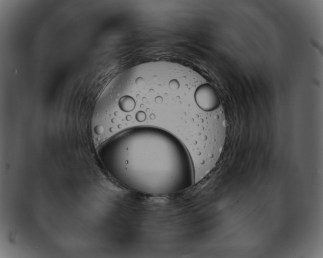 X0000093170574200709261058