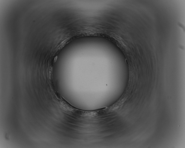 X0000093170576200709261058