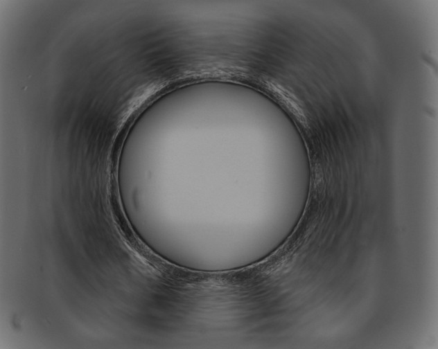 X0000093170578200709261058