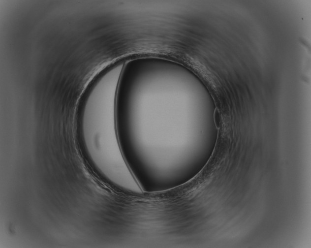 X0000093170580200709261058