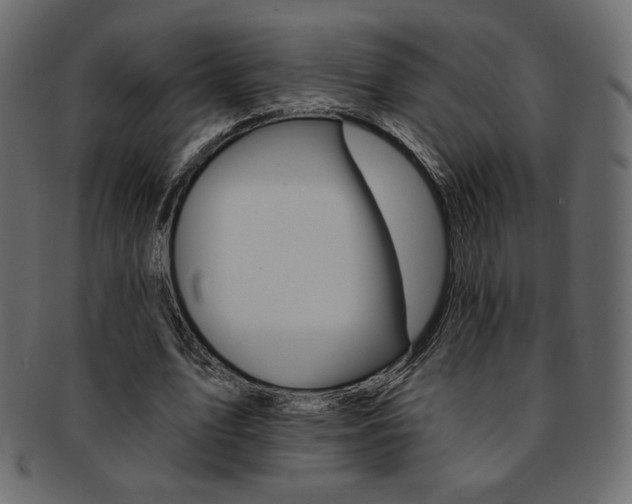 X0000093170583200709261058