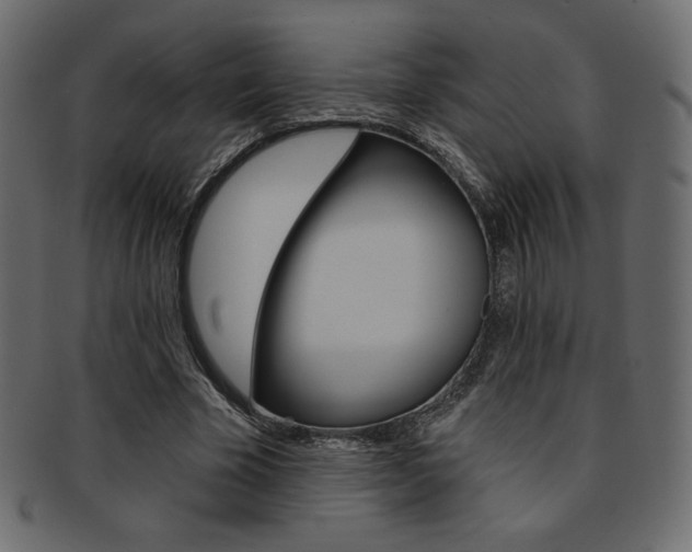X0000093170585200709261058