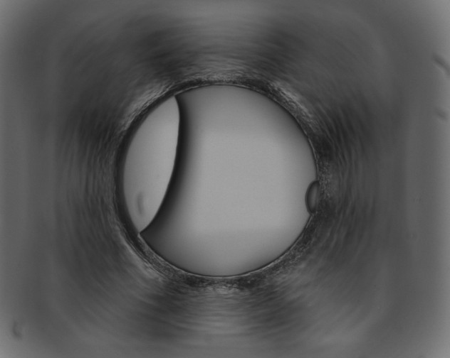 X0000093170586200709261058