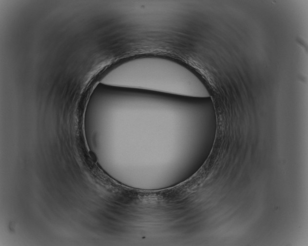 X0000093170587200709261057