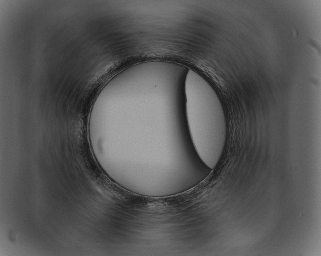 X0000093170591200709261057