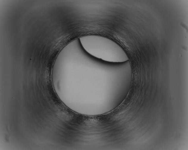 X0000093170594200709261057