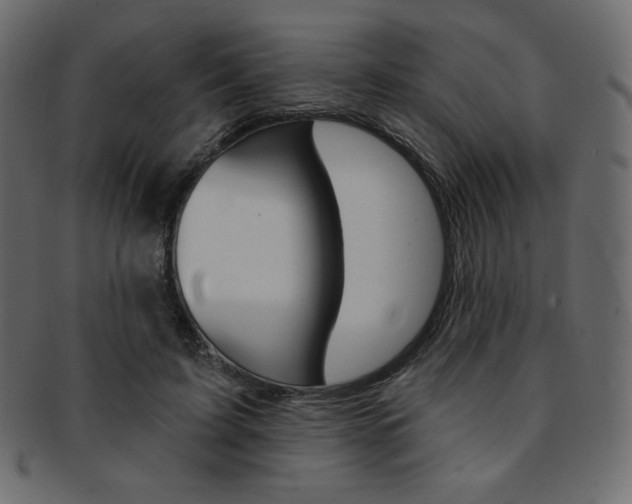 X0000093170595200709261057