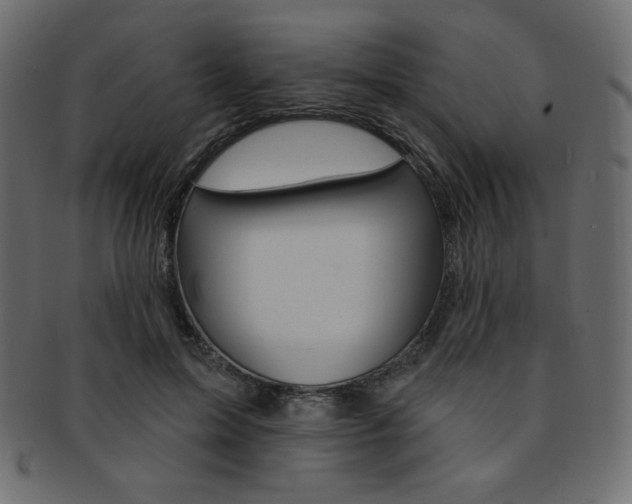 X0000093170599200709261057