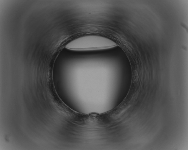 X0000093170600200709261057