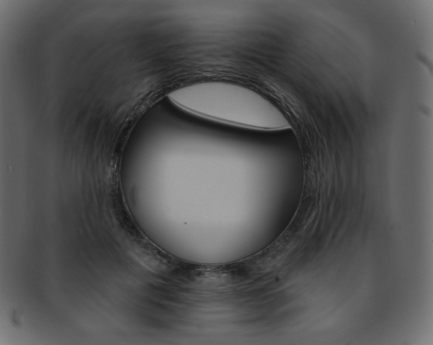 X0000093170601200709261057