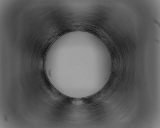 X0000093170602200709261057