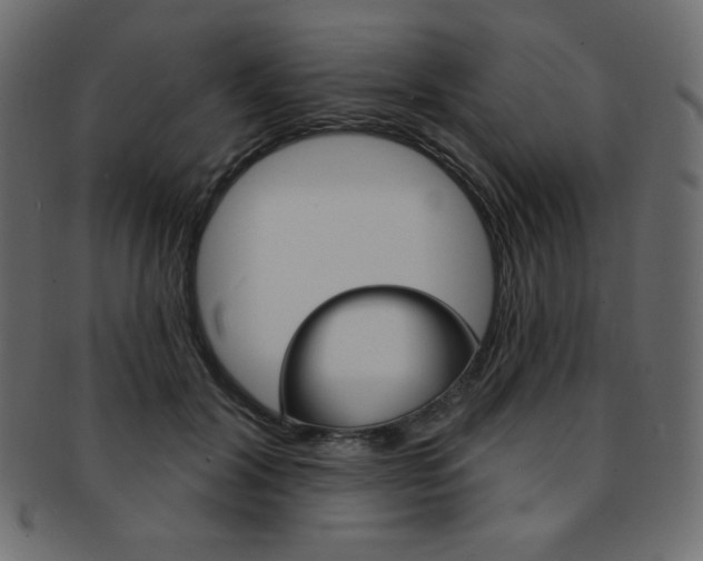 X0000093170604200709261057