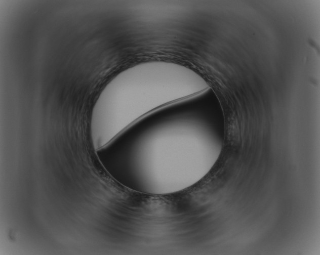 X0000093170608200709261057