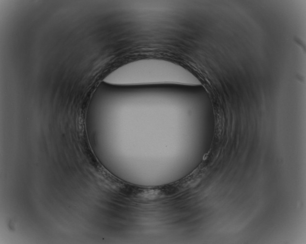 X0000093170609200709261057