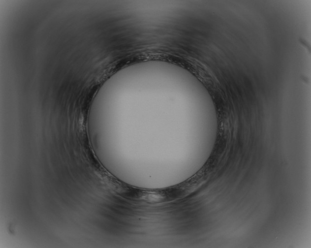 X0000093170610200709261057