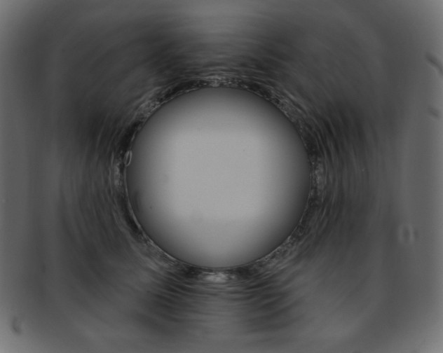 X0000093170611200709261057