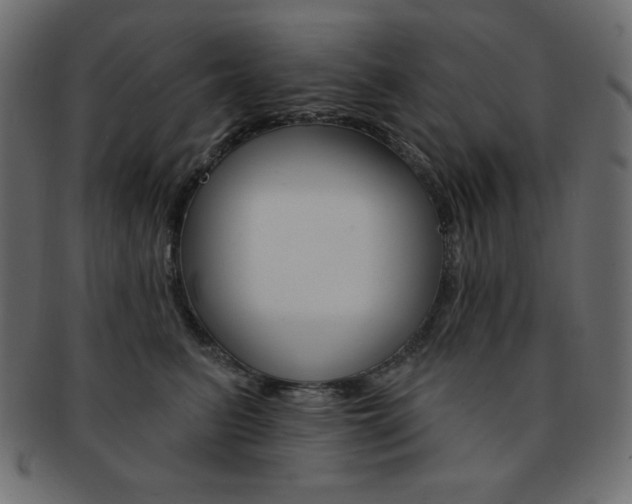 X0000093170615200709261057