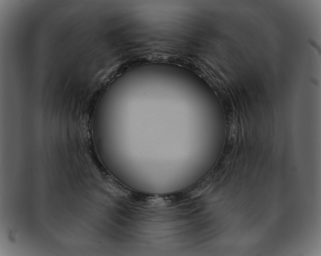 X0000093170616200709261057