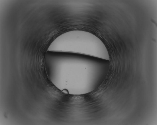 X0000093170619200709261057