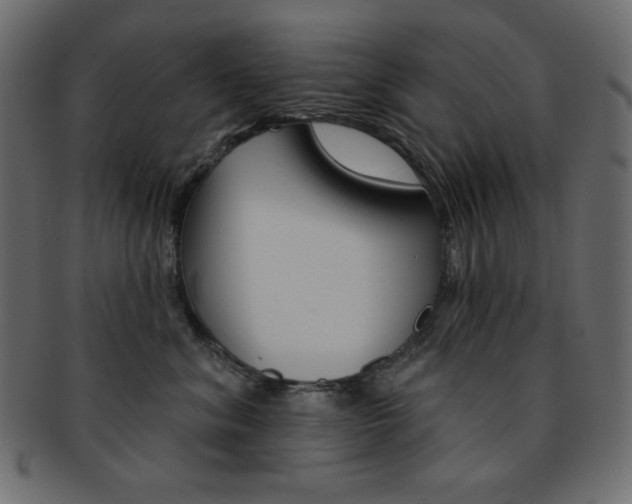 X0000093170620200709261057
