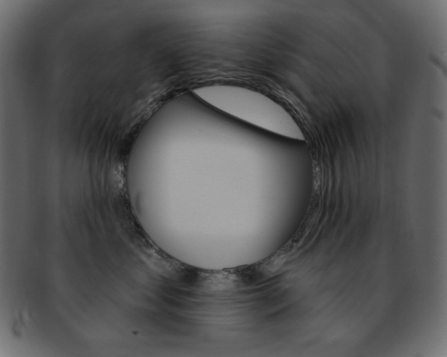 X0000093170621200709261057