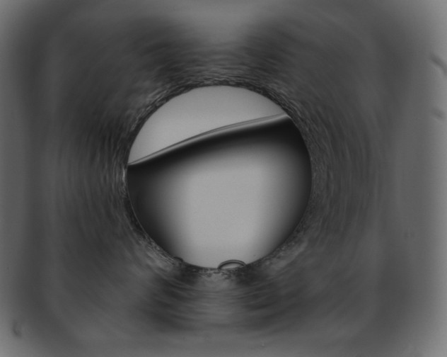 X0000093170624200709261057