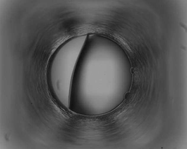 X0000093170626200709261056