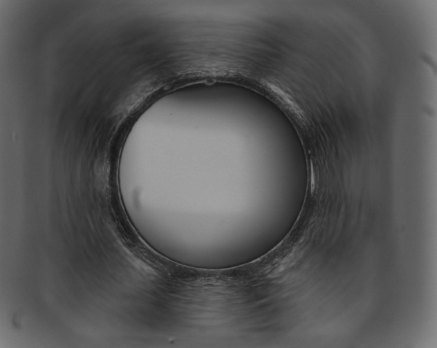 X0000093170627200709261056