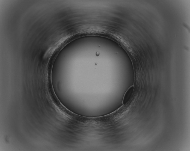 X0000093170629200709261056