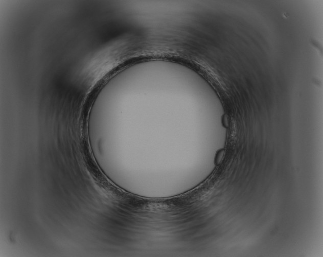 X0000093170636200709261056