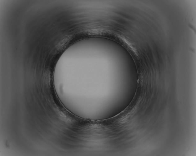 X0000093170637200709261056